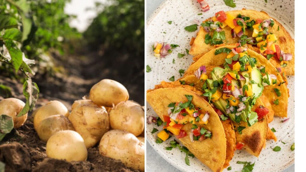 Grow Potatoes for Crispy Homemade Veggie Tacos