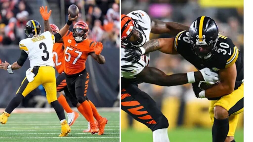 Steelers’ Patrick Queen Exposes Coaching Missteps After Embarrassing Defensive Collapse Against Bengals