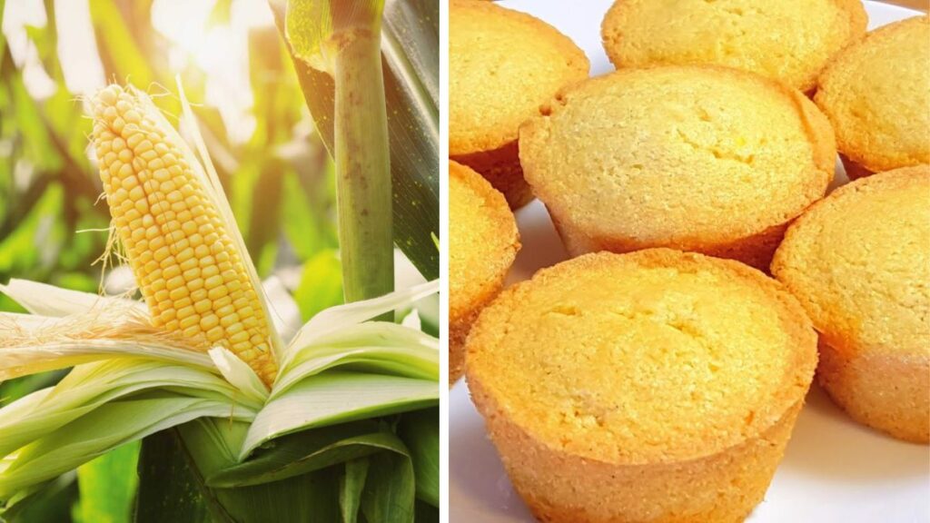 How to Grow Corn for Sweet Veggie Cornbread