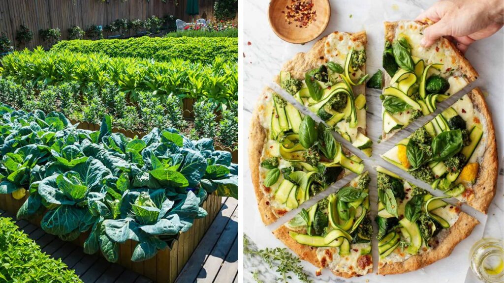 Start a Kitchen Garden to Grow Ingredients for Veggie Pizza