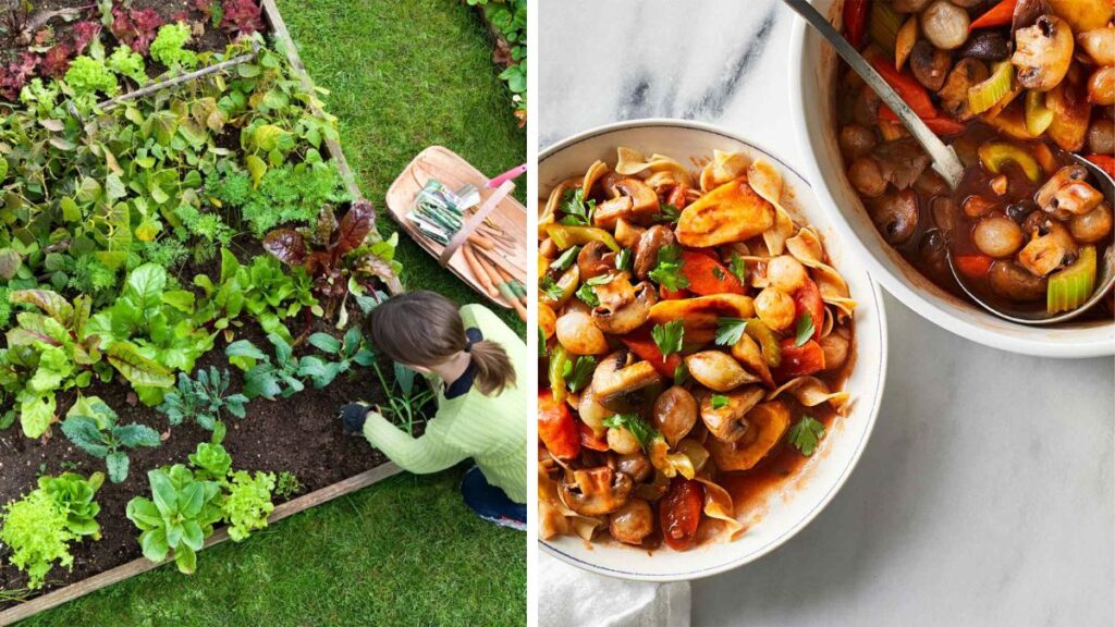 Kitchen Garden Guide to Growing for Meatless Monday Meals