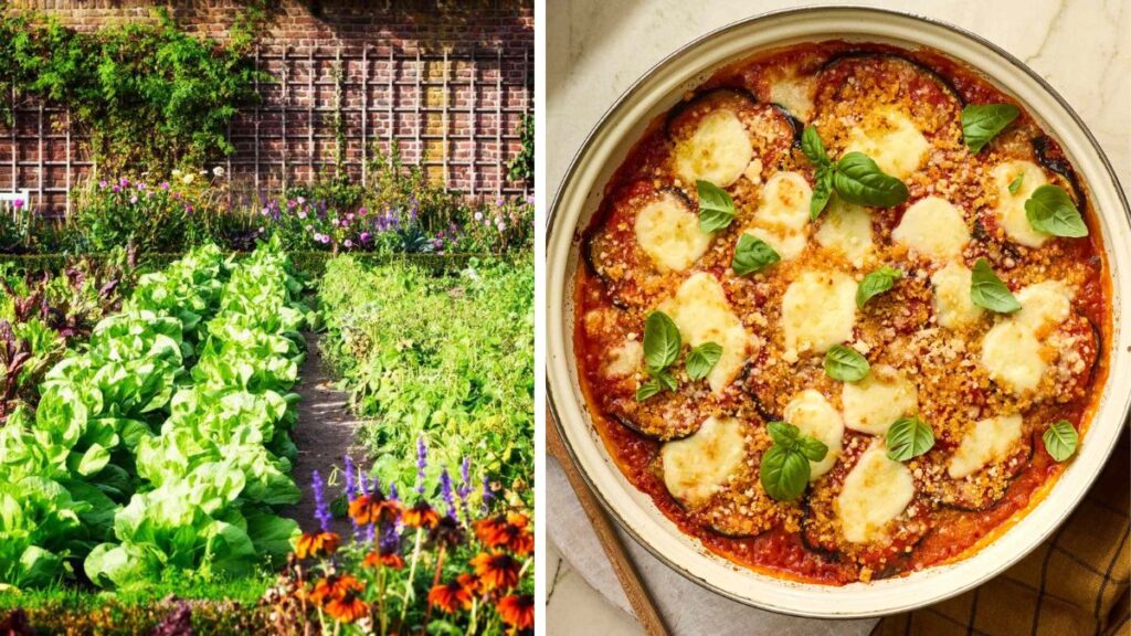 A Seasonal Garden Plan for Vegetarian Cooking Year-Round