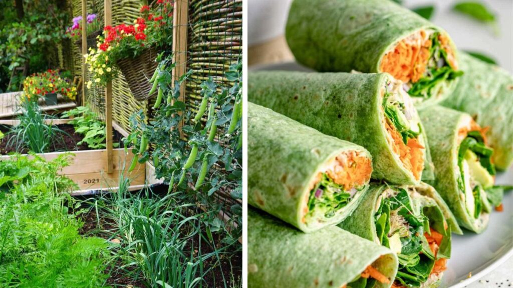 Backyard Gardening for Veggie Wraps and Sandwiches