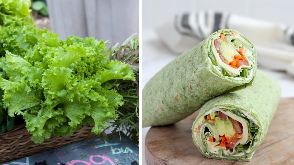Grow Fresh Greens for Wraps, Rolls, and Burritos