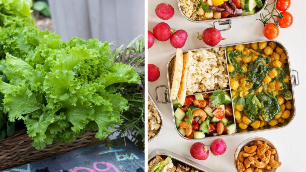 From Backyard to Bento Box: Veggie Meal Prep Ideas
