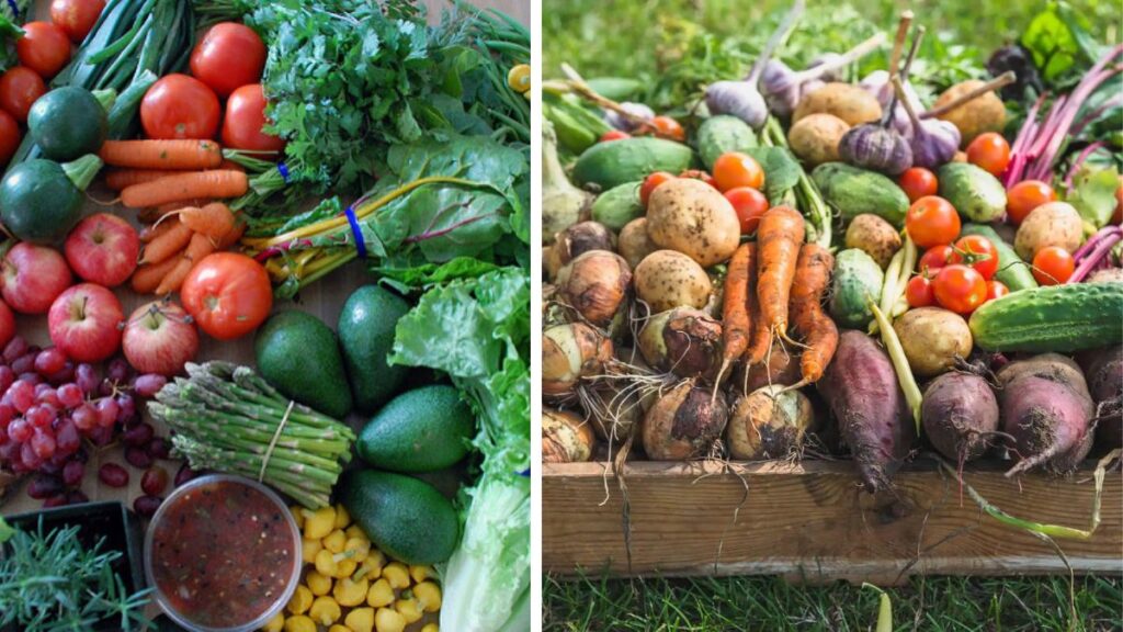 Save Money and Eat Better with a DIY Veggie Garden