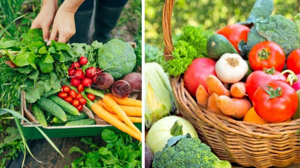 How to Eat More Vegetables by Growing Your Own