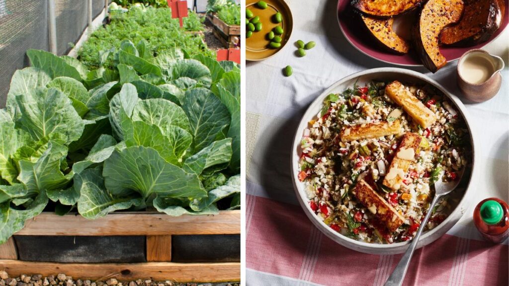 Sustainable Gardening for Eco-Friendly Veggie Meals