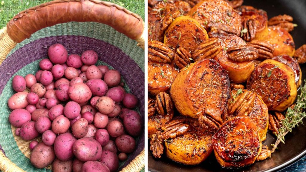 Homegrown Potatoes for Creative Vegetarian Cooking