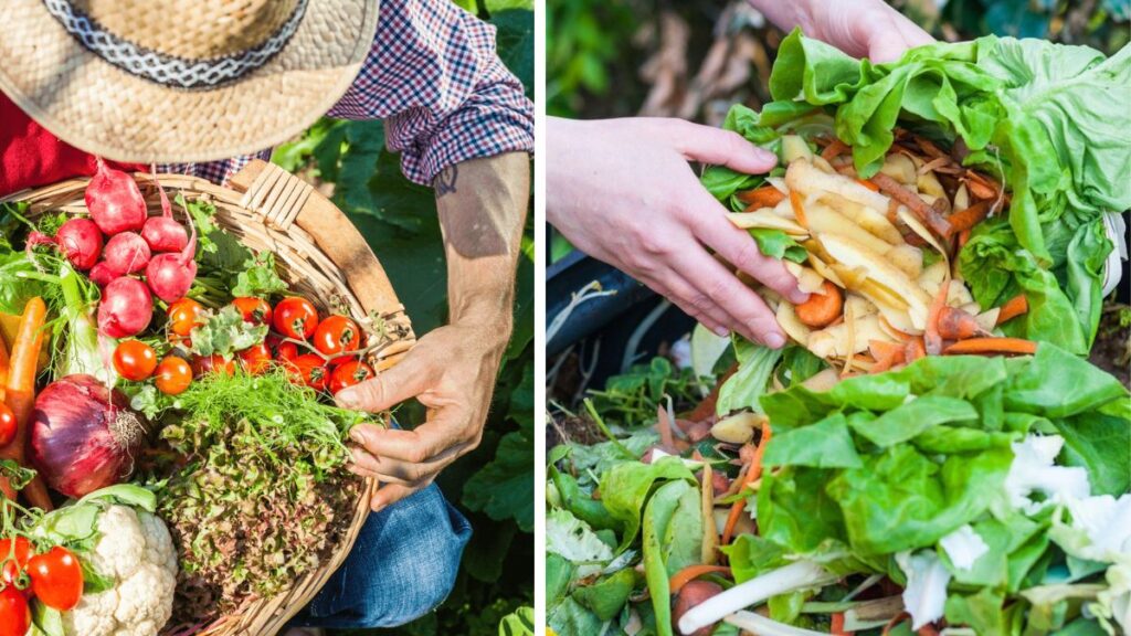 Reduce Waste by Growing and Cooking Your Own Veggies