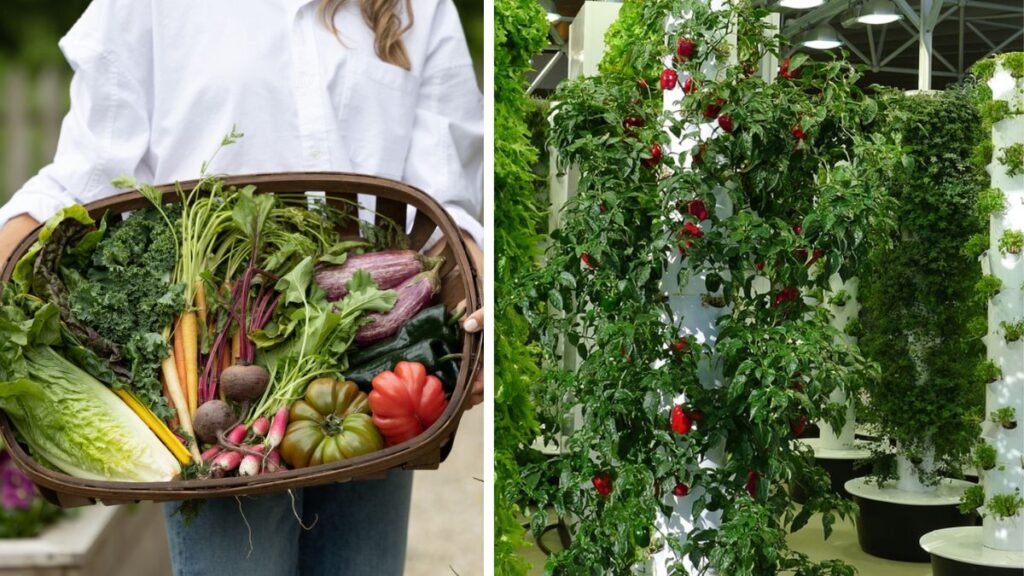 Garden Hacks to Grow More Veggies for Vegetarian Recipes