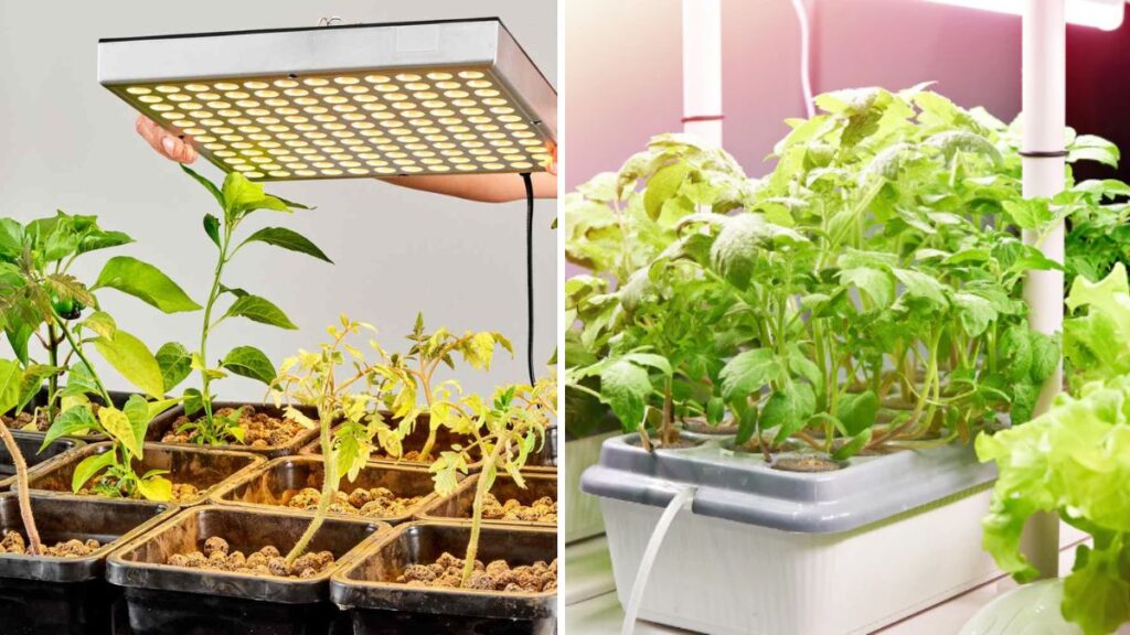 DIY Hydroponics: How to Make a Simple Hydroponic System at Home for Fresh, Healthy Plants