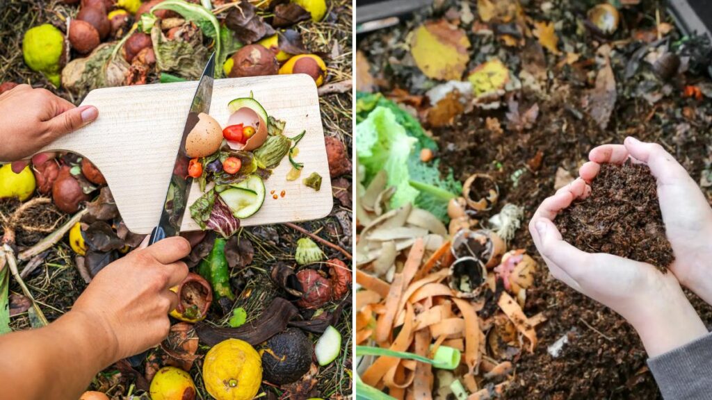 Turn Kitchen Waste into Black Gold! How to Make Compost at Home (STEP-BY-STEP WITH FULL UPDATES)