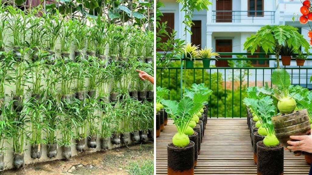Sky-Garden Magic: How to Create a Hanging Vegetable Garden That Saves Space and Boosts Harvests