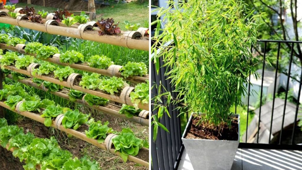 Growing Green Magic: How to Create a Stunning Garden Using Bamboo Containers
