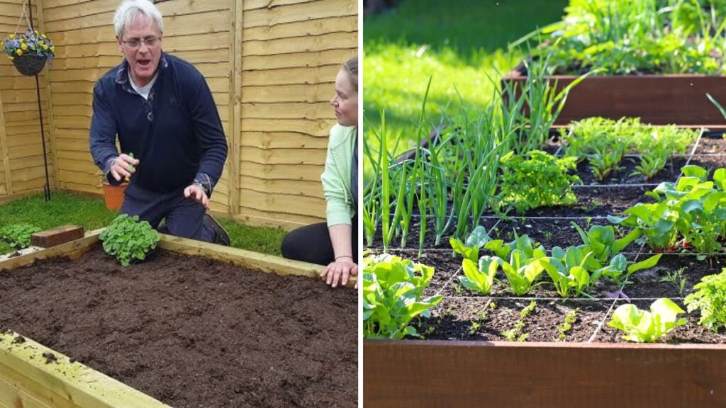 Build Your Own Garden Oasis: The Complete Guide to Creating Raised Beds for Growing Abundant Crops