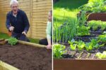 Build Your Own Garden Oasis: The Complete Guide to Creating Raised Beds for Growing Abundant Crops